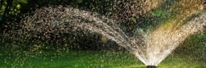 Smart Home Technology Comes to Irrigation Control