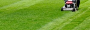 Don’t Make These 5 Common Mowing Mistakes