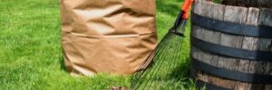 Easy Ways to Dispose of Yard Waste