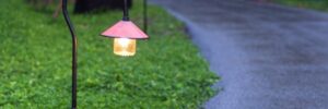 Show Off Your Lawn After Dark with Landscape Lighting