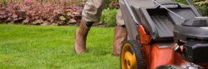 Lawn Mower Buying Guide