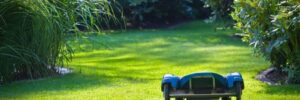 Robomow Might Be the Most Fun Way to Mow Your Lawn