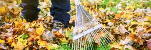 Is Your Lawn Ready for the Fall?