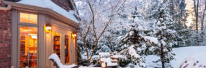 Protecting Trees and Shrubs From Winter Damage