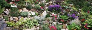 Landscaping Ideas for Steep Slopes