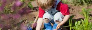 Child Planting a Seed