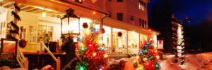 Commercial Christmas Lights: A Great Marketing Tool for Your Business