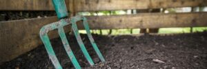 How to Start Composting