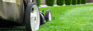 Three Common Lawn Mowing Mistakes