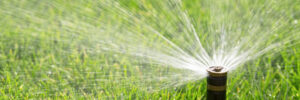 Give Your Sprinkler a Tune Up