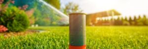 Tips for Watering Your Lawn with an Automatic Sprinkler