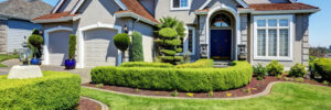 Tips to Improve Your Landscaping