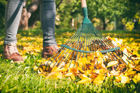 4 Ways You Can Use All of Your Fall Leaves