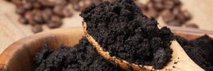 Coffee Grounds in Garden