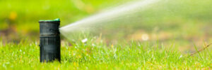 sprinkler system from Suburban Lawn Sprinkler