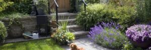 backyard garden and patio