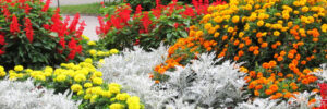 flower beds for landscaping your yard