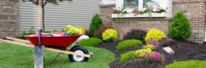 Lawn and landscape maintenance for your yard