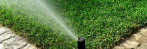 Lawn Sprinkler System