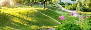 Lawn Sprinkler system for residential property