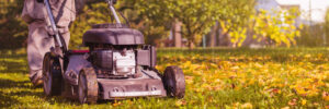 Fall lawn care