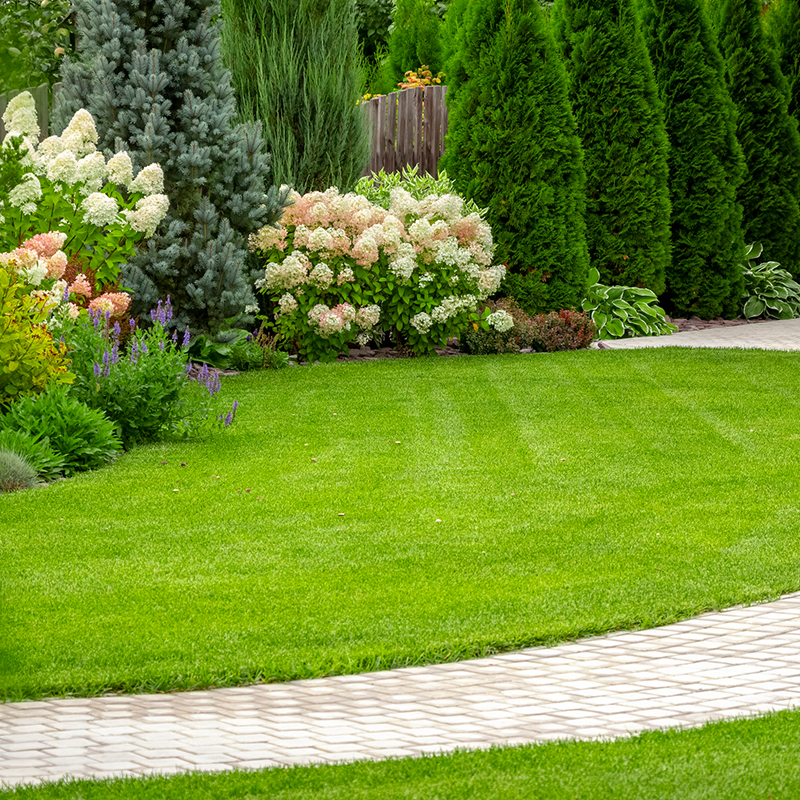 A neatly manicured lawn with colorful flowering shrubs and trees alongside a curved paved pathway in a garden setting.