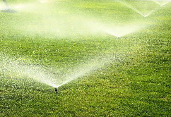 Sprinklers watering a green lawn with sprays of water creating an overlapping pattern across the grass.