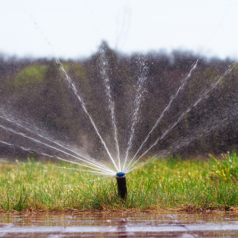 A sprinkler sprays water in multiple streams over a grassy lawn with trees in the blurred background.