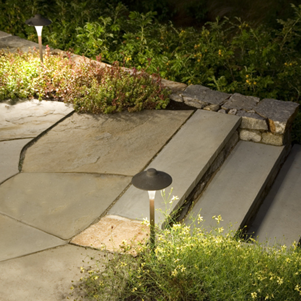 Stone pathway and steps with ground lights, surrounded by greenery and small flowers at night.