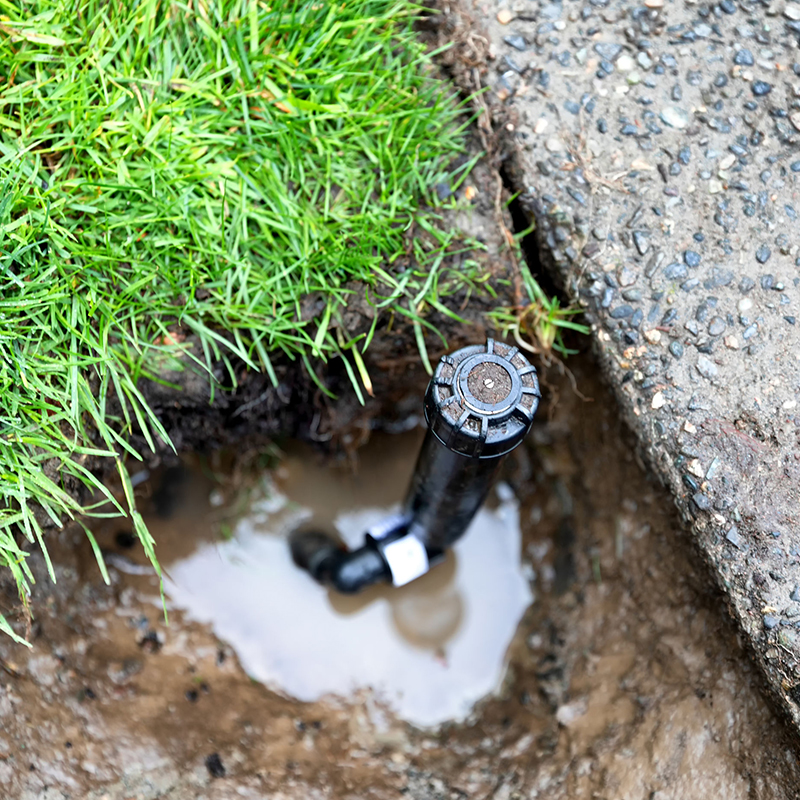 A sprinkler head installed in a muddy patch of soil near a grassy area and a concrete surface.